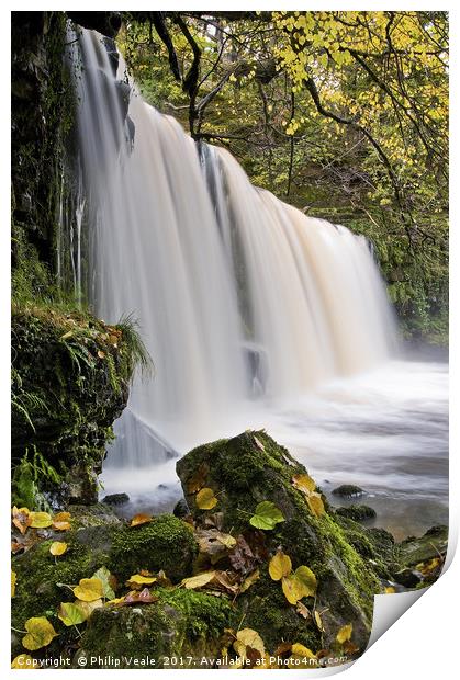 Sgwd Ddwli Waterfall in Autumn. Print by Philip Veale