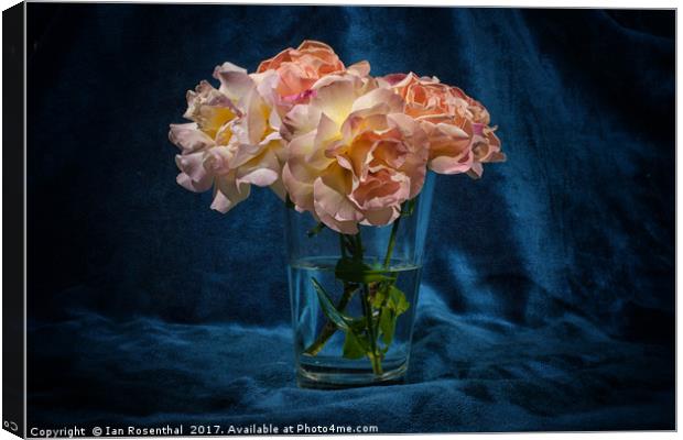 Roses from the Garden Canvas Print by Ian Rosenthal
