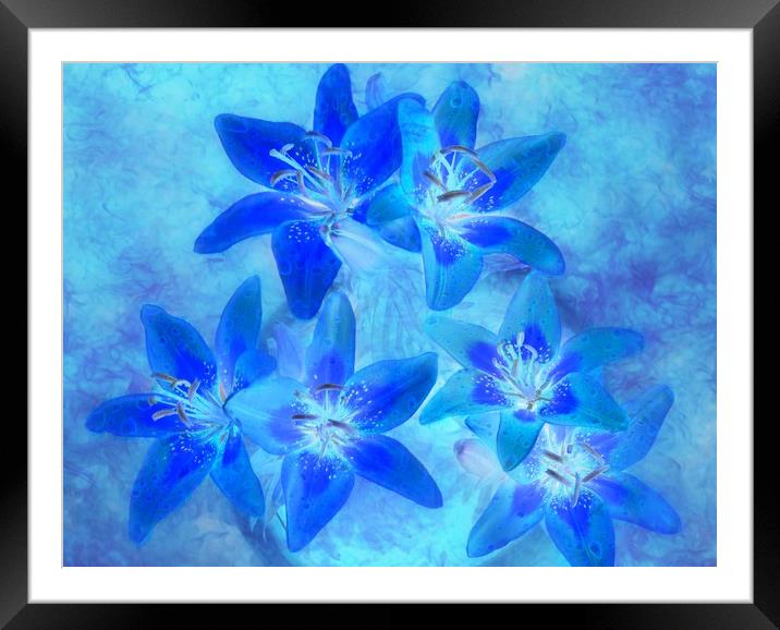 blue Framed Mounted Print by sue davies