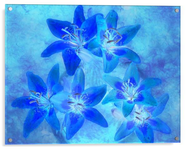 blue Acrylic by sue davies