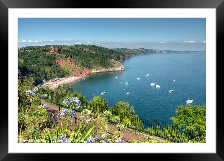 Busy day in Babbacombe Bay and Oddicombe  Beach  Framed Mounted Print by Rosie Spooner