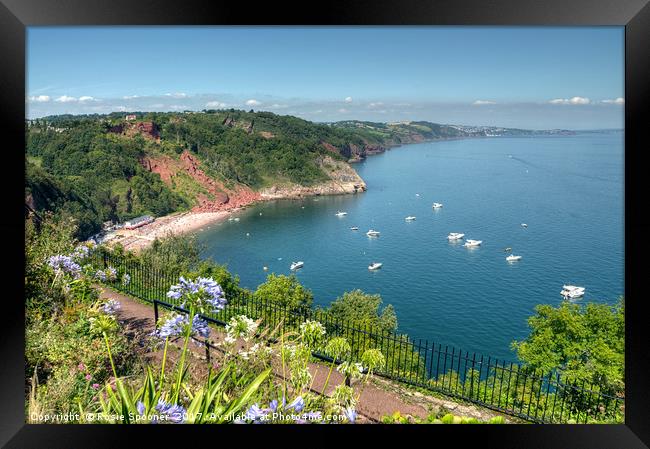 Busy day in Babbacombe Bay and Oddicombe  Beach  Framed Print by Rosie Spooner