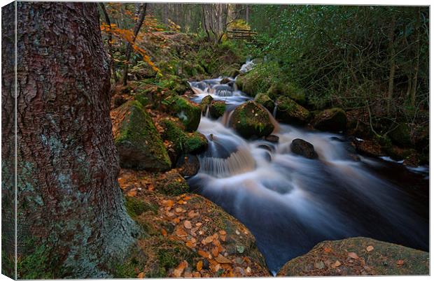 Woodland Waterfall. Wyming Brook. Canvas Print by Martin Appleby