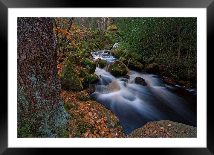 Woodland Waterfall. Wyming Brook. Framed Mounted Print by Martin Appleby