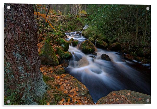 Woodland Waterfall. Wyming Brook. Acrylic by Martin Appleby