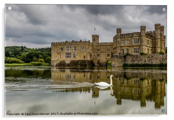 The Swan at Leeds Castle Acrylic by Paul Piciu-Horvat