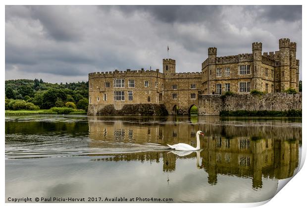 The Swan at Leeds Castle Print by Paul Piciu-Horvat