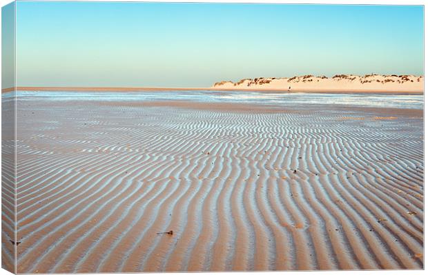 Ridges in the sand Canvas Print by Stephen Mole