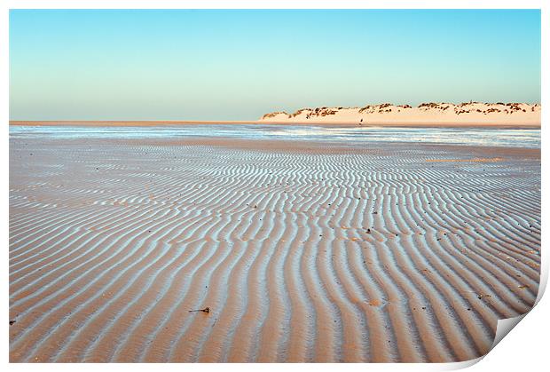 Ridges in the sand Print by Stephen Mole