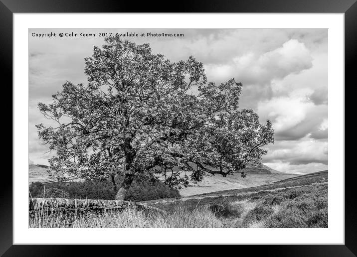 Goyt Valley Mono Framed Mounted Print by Colin Keown