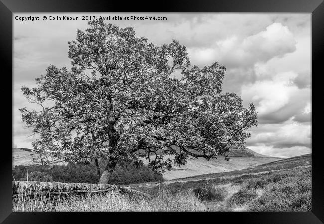 Goyt Valley Mono Framed Print by Colin Keown