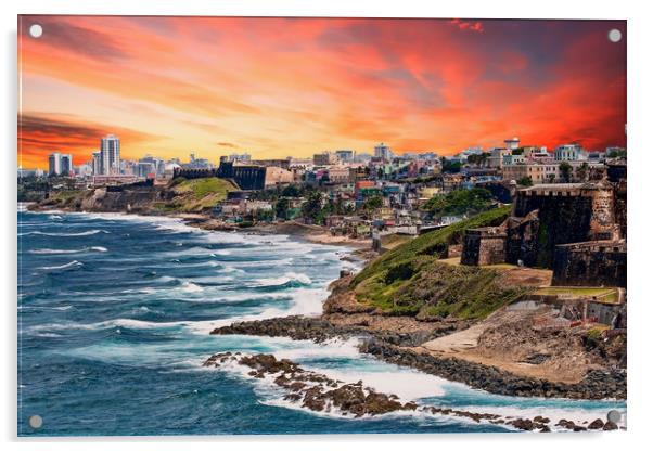 Rocky Coast of Puerto Rico Acrylic by Darryl Brooks