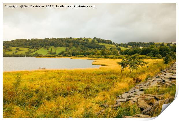 Lake Bala Summer Print by Dan Davidson