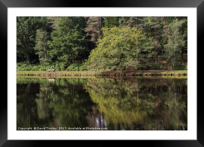 Summer Reflections - 1 Framed Mounted Print by David Tinsley