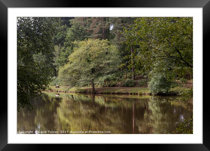 Summer Reflections - 2 Framed Mounted Print by David Tinsley