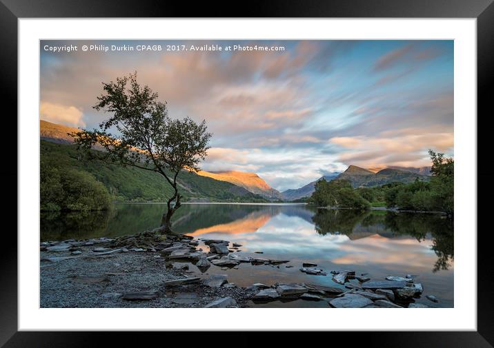 The Lone Tree Llanberis  Framed Mounted Print by Phil Durkin DPAGB BPE4