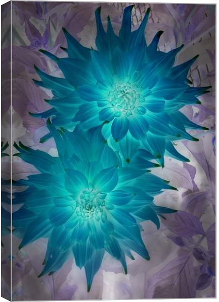 "Blue" Dahlia Canvas Print by Erin Hayes