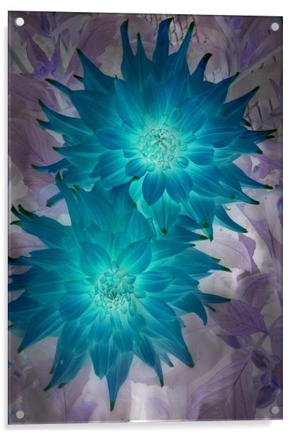 "Blue" Dahlia Acrylic by Erin Hayes