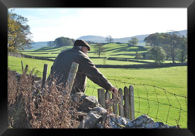 Famer entering field in Yorkshire Dales Framed Print by Madeline Harris