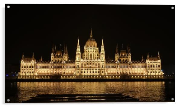 The Hungarian Parliament building at night         Acrylic by John Iddles
