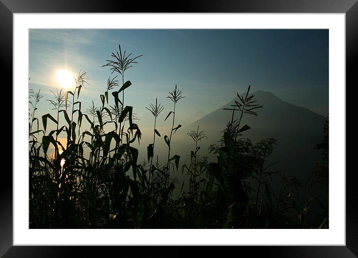 Guatemalan Dawn Framed Mounted Print by Neil Gavin
