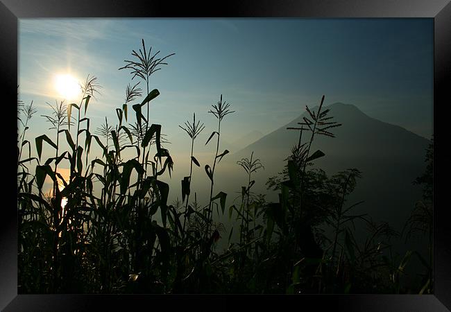 Guatemalan Dawn Framed Print by Neil Gavin