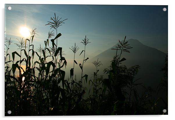 Guatemalan Dawn Acrylic by Neil Gavin