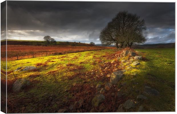 Approaching storm over the Brecon hills, South Wal Canvas Print by Leighton Collins