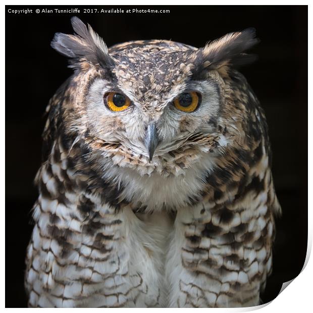 MacKinders eagle owl Print by Alan Tunnicliffe