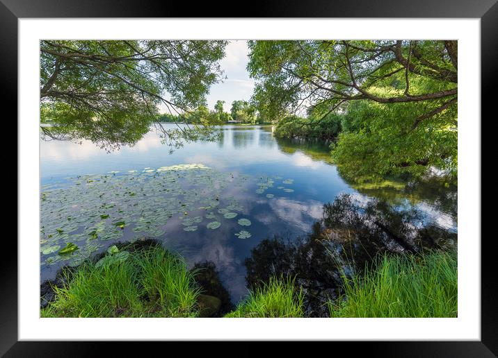 Summer lake Framed Mounted Print by Dobrydnev Sergei