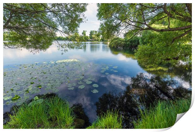 Summer lake Print by Dobrydnev Sergei