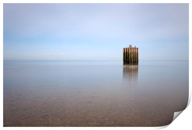 Whitstable Dolphin Print by Ian Hufton