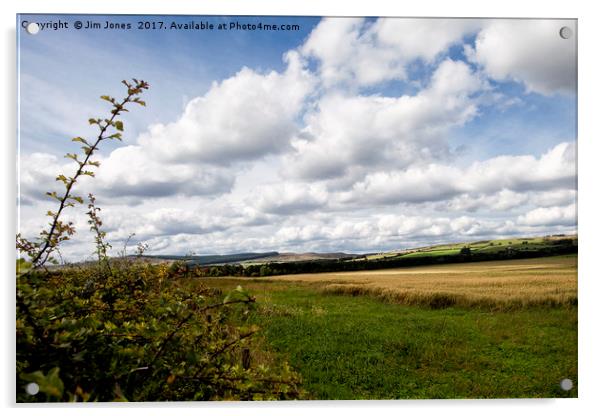 Rural Northumberland 4 Acrylic by Jim Jones