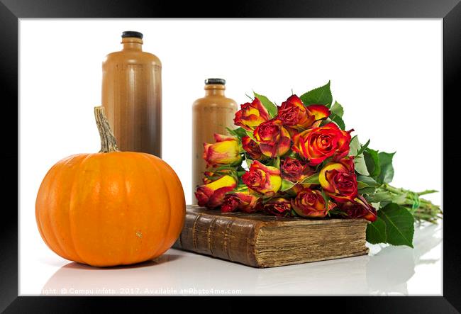 still life with red roses Framed Print by Chris Willemsen