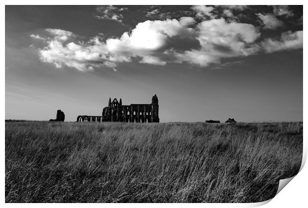 Whitby Abbey Print by Joanna Pinder