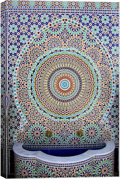 Fountain, Fes, Morocco Canvas Print by Carole-Anne Fooks