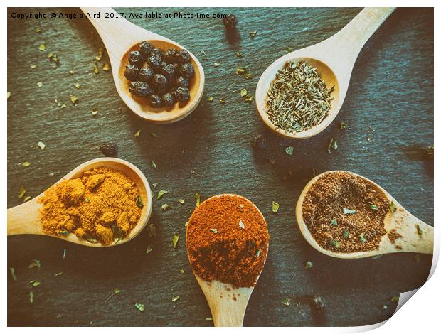 Herb and Spices. Print by Angela Aird