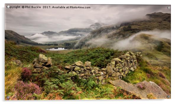 Blea Tarn Mist Acrylic by Phil Buckle