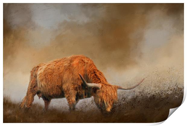Highland Cattle from Low Point of View Print by Chantal Cooper