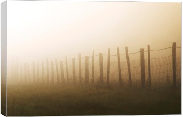 Misty fence Canvas Print by Gary Schulze