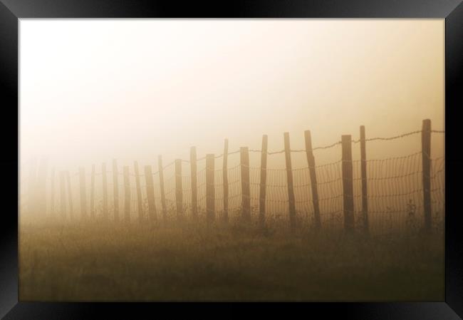 Misty fence Framed Print by Gary Schulze