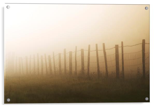 Misty fence Acrylic by Gary Schulze