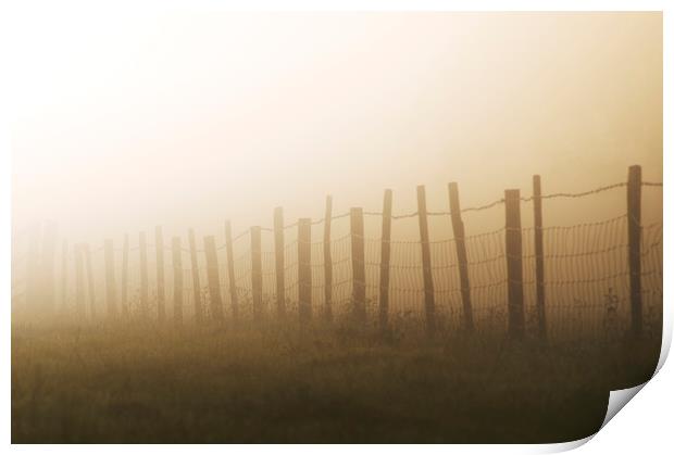 Misty fence Print by Gary Schulze