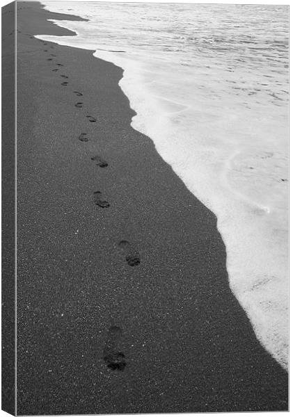 Footprints Canvas Print by Neil Gavin