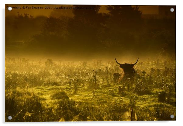 Misty morning Acrylic by Derrick Fox Lomax