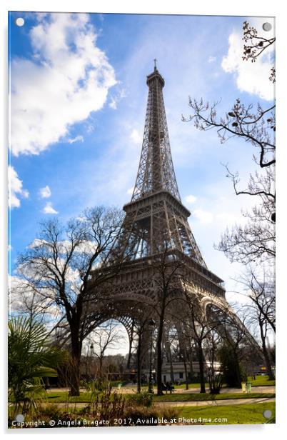 Eiffel Tower, Paris Acrylic by Angela Bragato