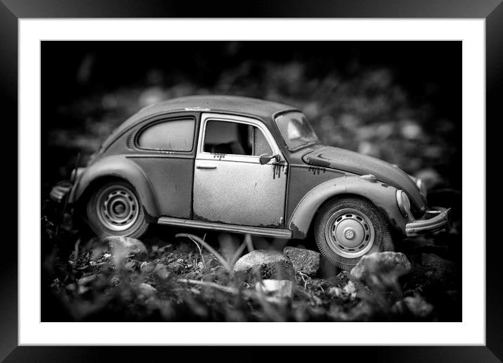 Mono Bug Framed Mounted Print by Jonathan Thirkell