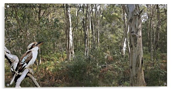 Kookaburra Amongst the Gum Trees.  Acrylic by Geoff Childs