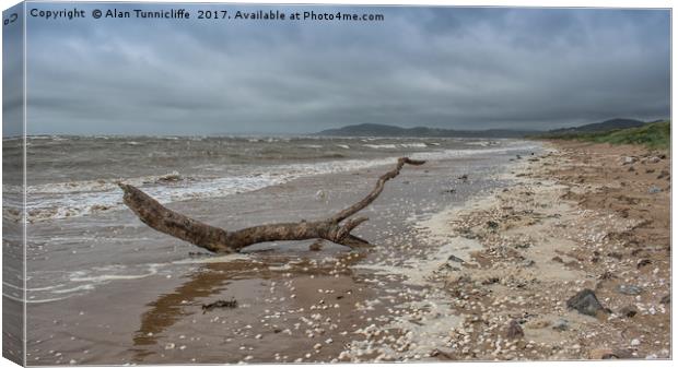 Driftwood on a deserted beach Canvas Print by Alan Tunnicliffe