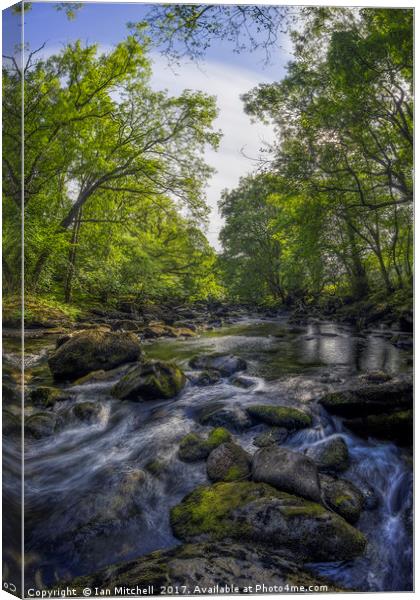 River Conwy Canvas Print by Ian Mitchell